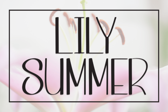 Lily Summer: A Handwritten Display Font for Cozy Editorial Design